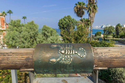 Scorpio Sign