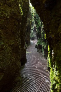 Hiking trail through narrows of the Drachenschlucht