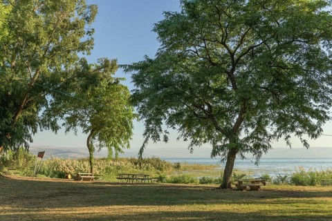Park on the beach at Migdal