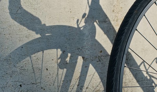 Spoked wheel of a bicycle