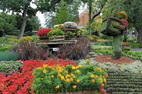 Flower beds