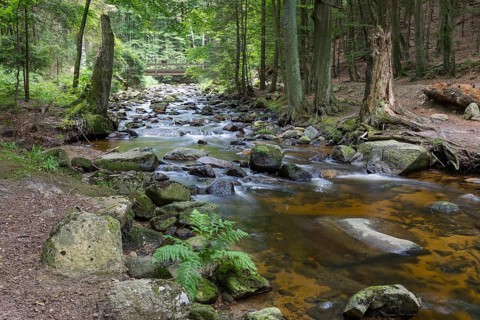 Mountain river Ilse