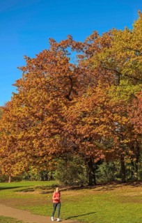 Autumn