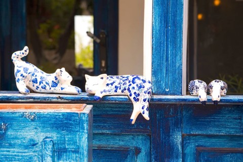 Procellan cats