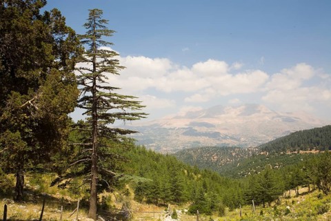 Suetlegen Highlands