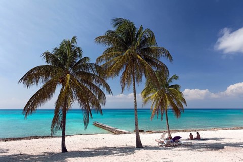 Sandy beach beach with palm trees