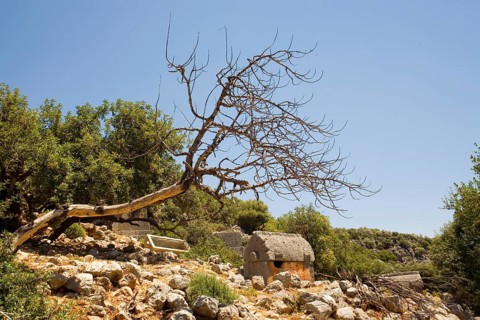 Aperlai