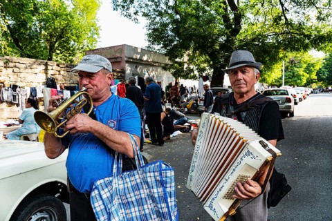 Musician
