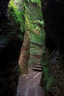 Hiking trail through narrows of the Drachenschlucht