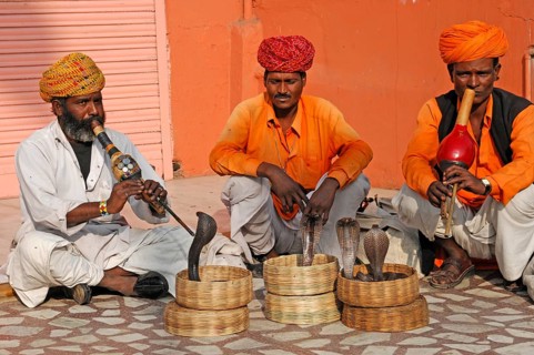 Snake charmer