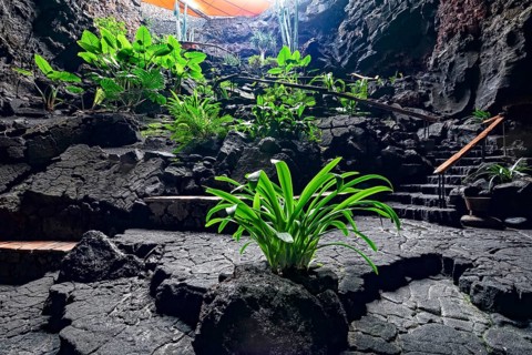 Jameos del Agua