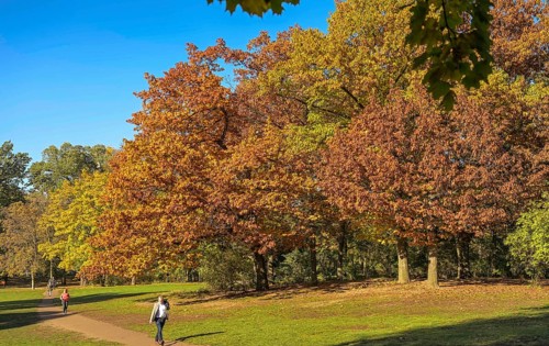 Autumn