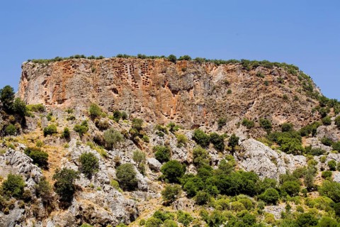Pinara