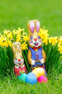 Easter bunnies