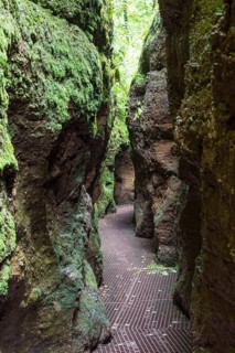 Hiking trail through narrows of the Drachenschlucht