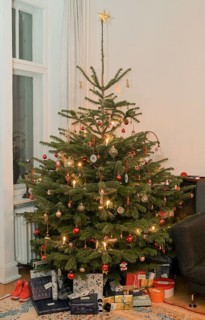 Christmas tree