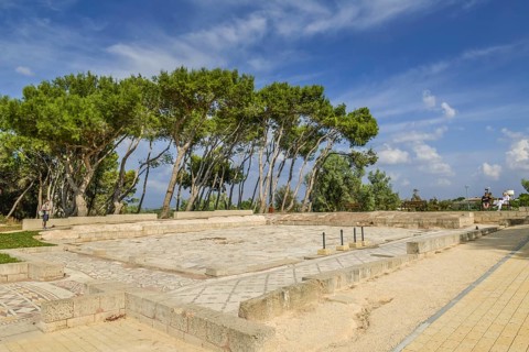 House of the bird mosaics