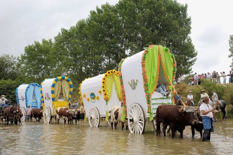 Romeria pilgrimage to El Rocio, 2009