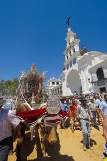 Romeria pilgrimage to El Rocio, 2009