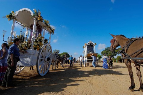 Romeria pilgrimage to El Rocio, 2009