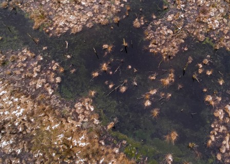 Aerial view of the Goldenstedt Moor