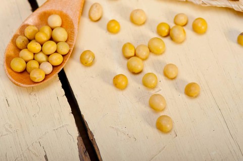 Organic soya beans over rustic wood table macro closeup