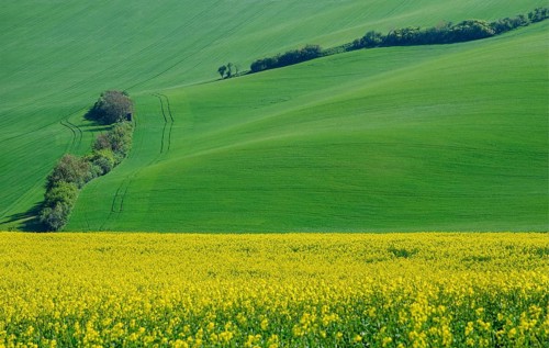 Beautiful and colorful abstract landscape