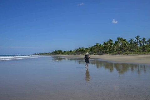 Beach walk