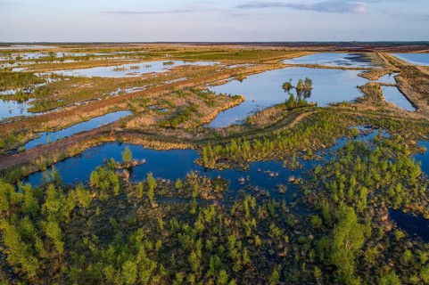 Aerial view of the Goldenstedt Moor