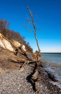 Slopes and chalk cliffs on the pebble beach of Pirate's Gorge on the island of Ruegen