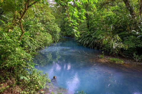 Blue turquoise water of the Rio Celeste caused by sulphur and calcium carbonate