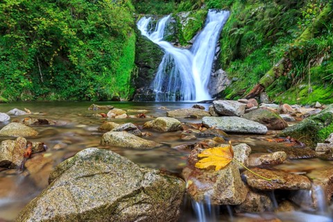 All Saints Waterfalls