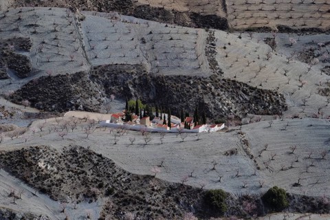 Cemetery in the middle of an almond plantation in front of flowering