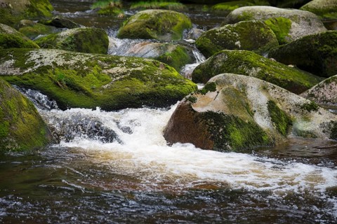 River flowing over stones
