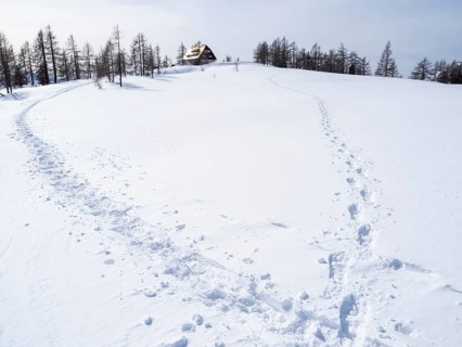 Winter landscape