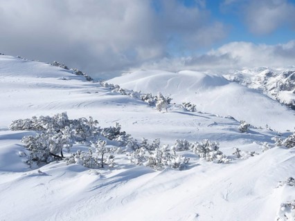 Winter landscape