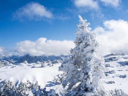 Blue sky over winter landscape