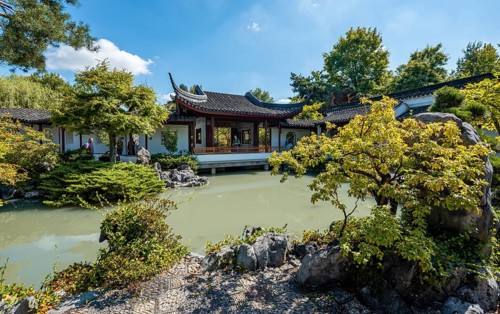 Garden with pond