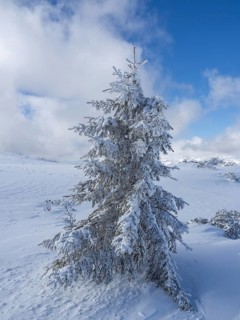 Blue sky over winter landscape