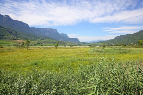 Kalterer See