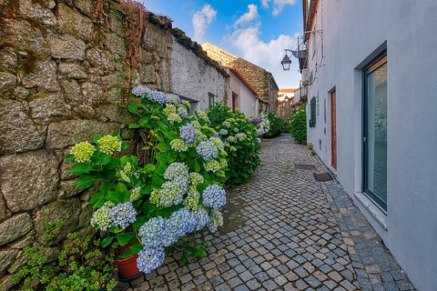 Narrow cobble street with flowers and old stone houses