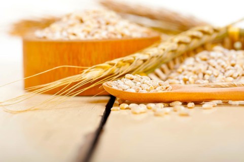 Organic wheat grains over rustic wood table macro closeup