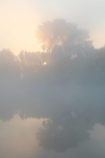 Morning fog and sunrise in the nature reserve Herbslebener Teiche