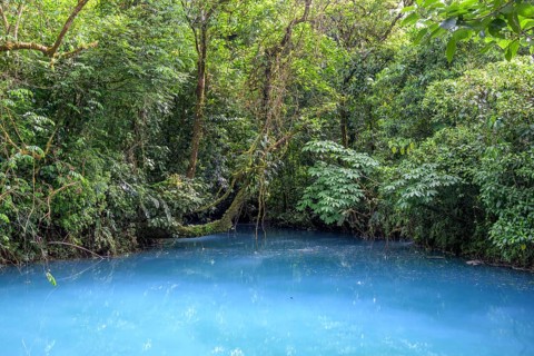 Blue turquoise water of the Rio Celeste caused by sulphur and calcium carbonate