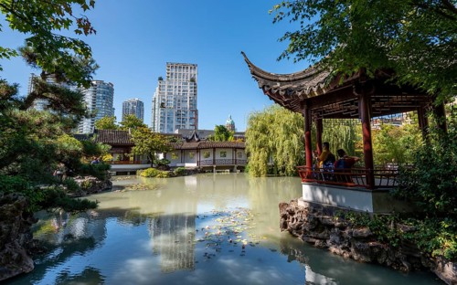 Garden with pond