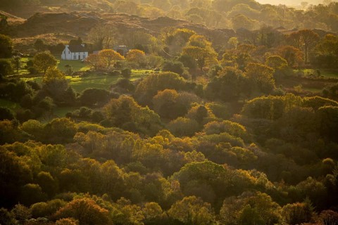 Small house with light mood in autumnal landscape