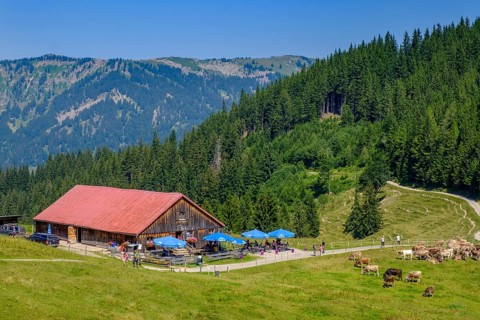 Fahnengehrenalpe