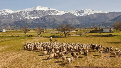 Spring in Crete