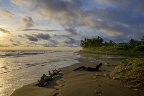 Evening atmosphere on the beach