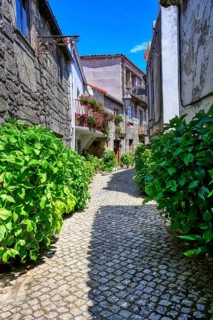 Narrow cobble street with flowers and old stone houses